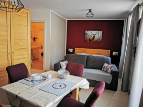 Apartment Studio A3b - Adler Resort, Kaprun